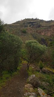 GC-Caldera de Bandama 2026-109.jpg